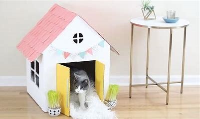 Indoor Cat Houses